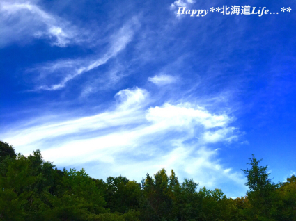 a0337860_00203120.jpg