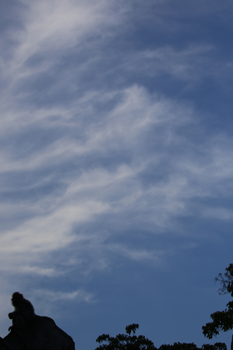 e0086860_17321697.jpg