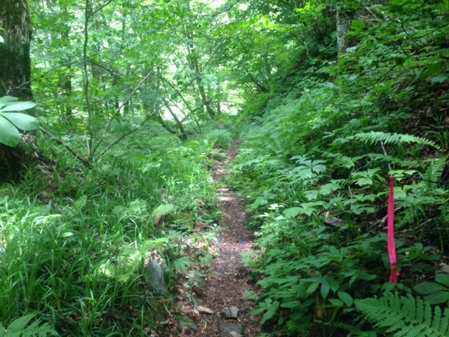 f0035460_19261129.jpg