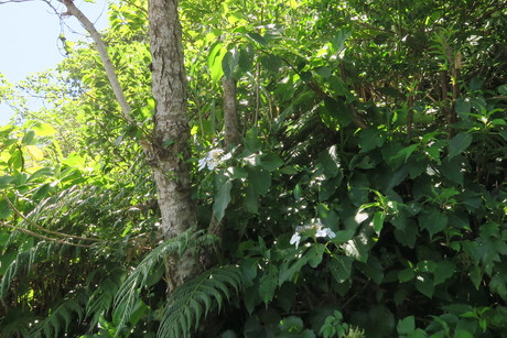 e0292172_1573993.jpg