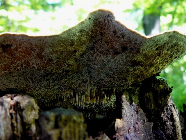 d0019074_23424321.jpg