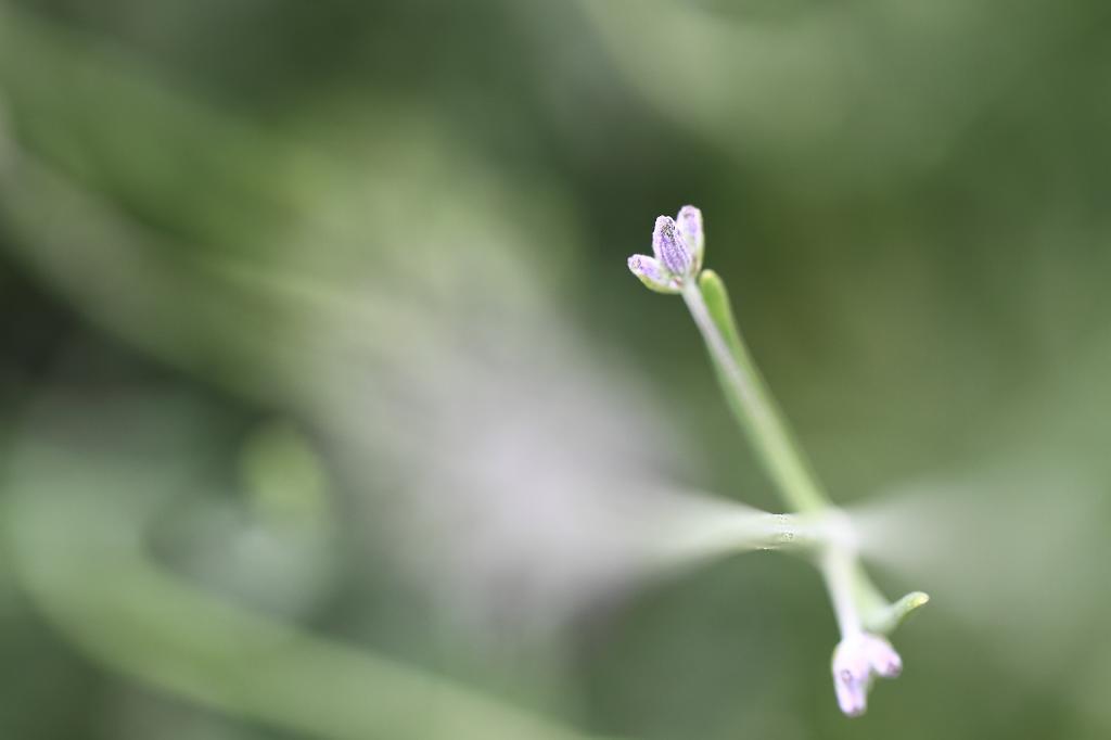 c0356480_20375415.jpg