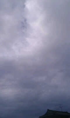 f0127282_1093841.jpg