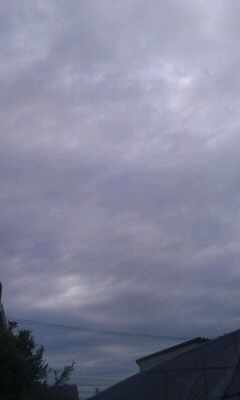 f0127282_109931.jpg