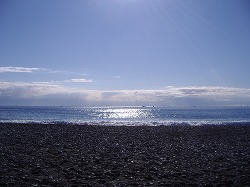 a0142083_1644715.jpg