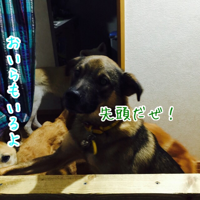 a0322483_8342229.jpg