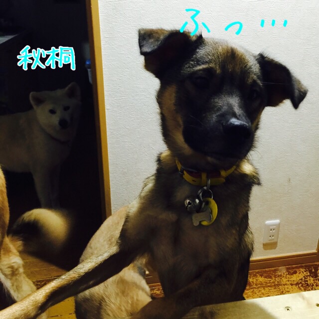 a0322483_8352242.jpg
