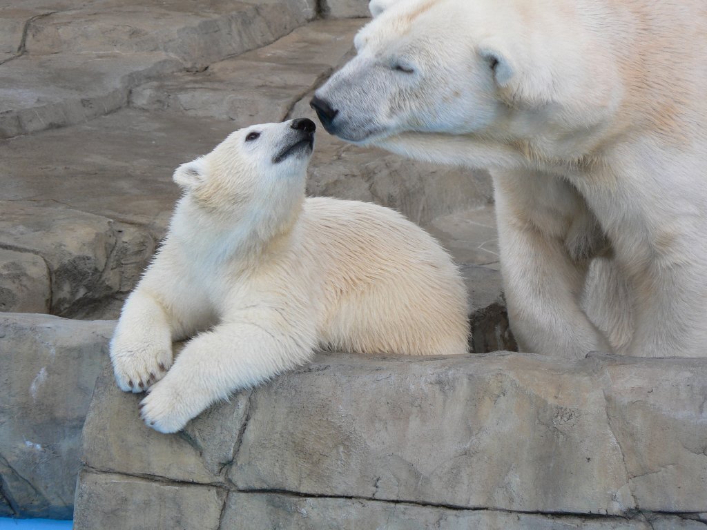 c0221584_214879.jpg