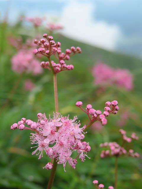 e0271890_16325799.jpg