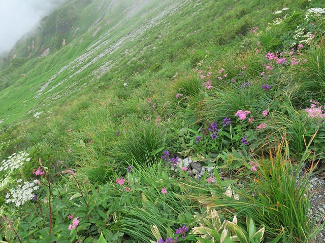 e0271890_17090593.jpg