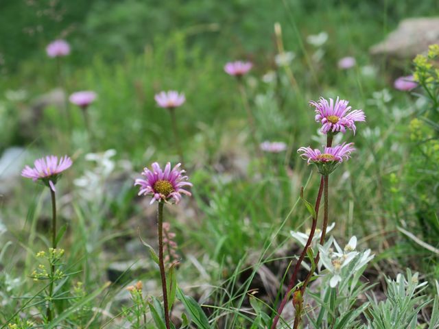 e0271890_17104568.jpg
