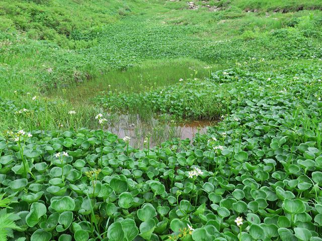 e0271890_17113182.jpg