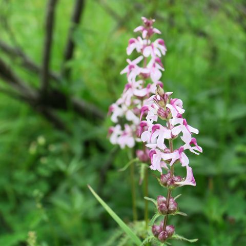 e0271890_18101722.jpg