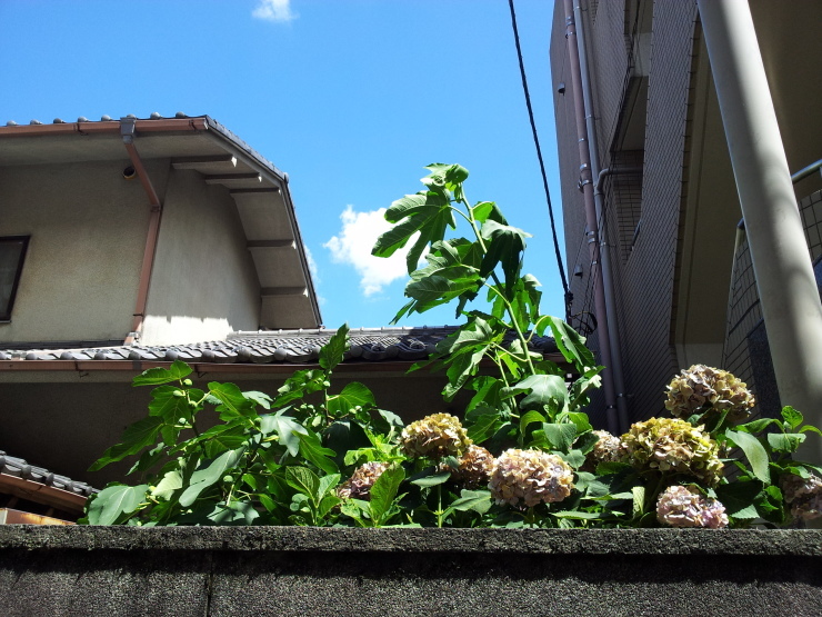f0002998_16421706.jpg
