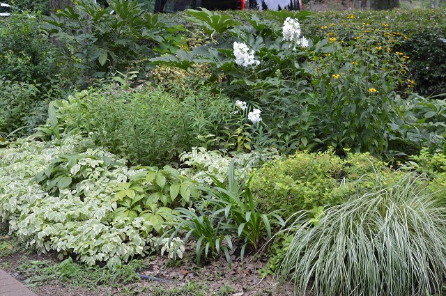c0124100_1433166.jpg
