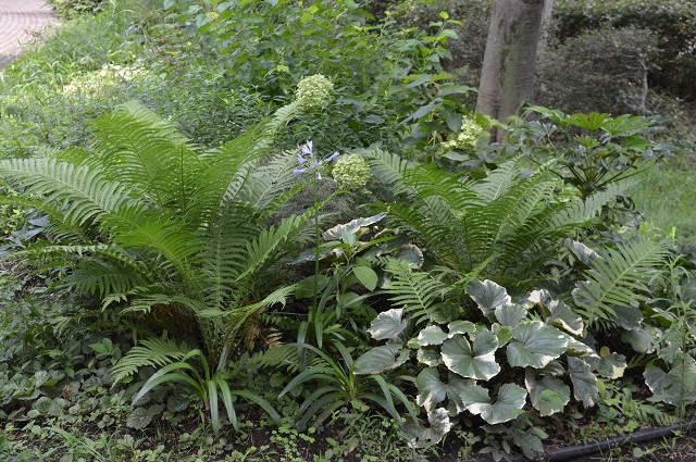 c0124100_14332390.jpg
