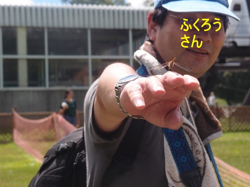 e0018604_06174420.jpg