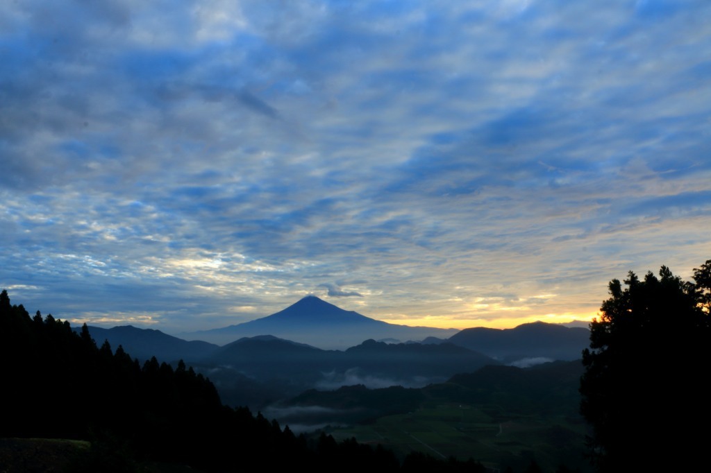 a0188405_00093085.jpg