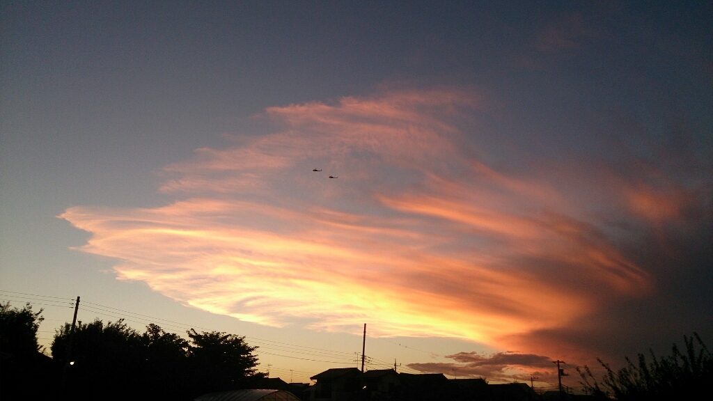e0046305_20163646.jpg