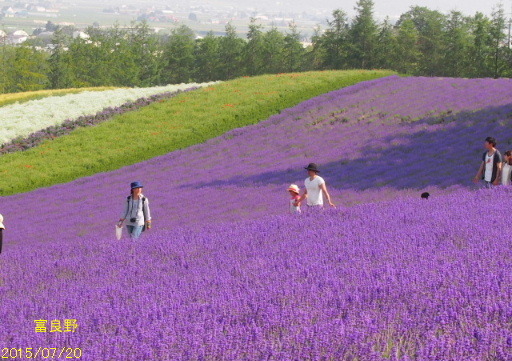 a0337807_11121464.jpg