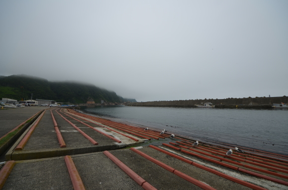 c0336907_21431734.jpg