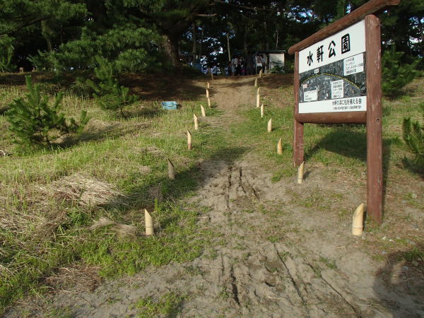 c0367107_14540739.jpg
