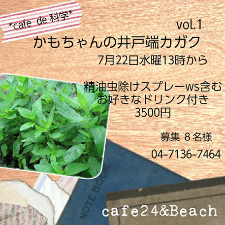 f0113108_20433259.png