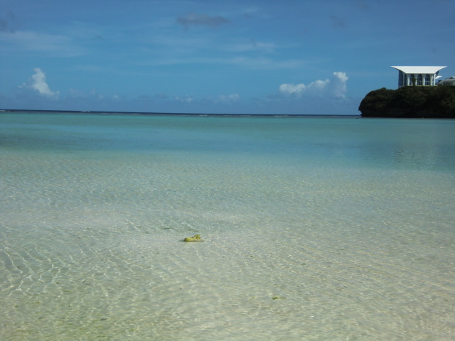 c0095424_85791.jpg