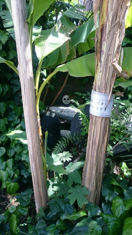 c0006827_95411.jpg