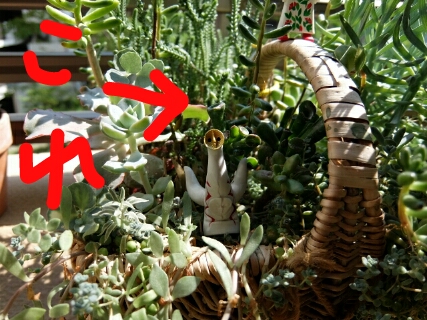 c0006827_9547.jpg