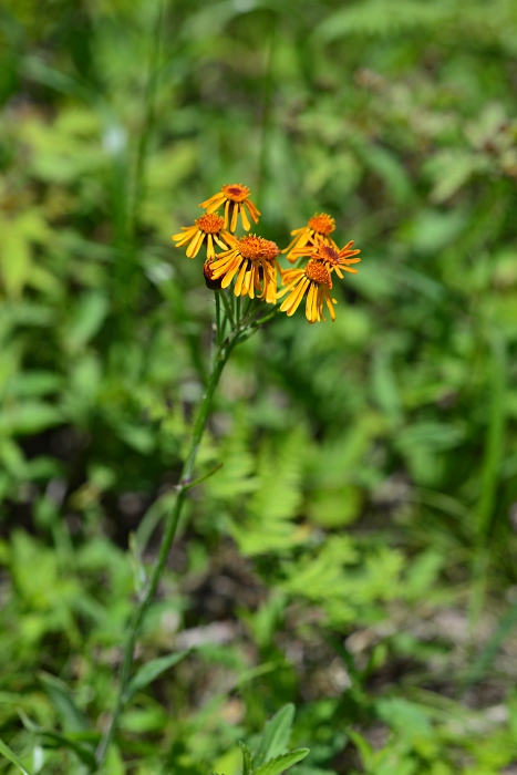 b0236334_19393687.jpg