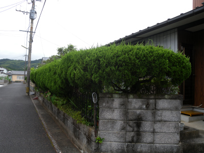 e0272335_1859114.jpg