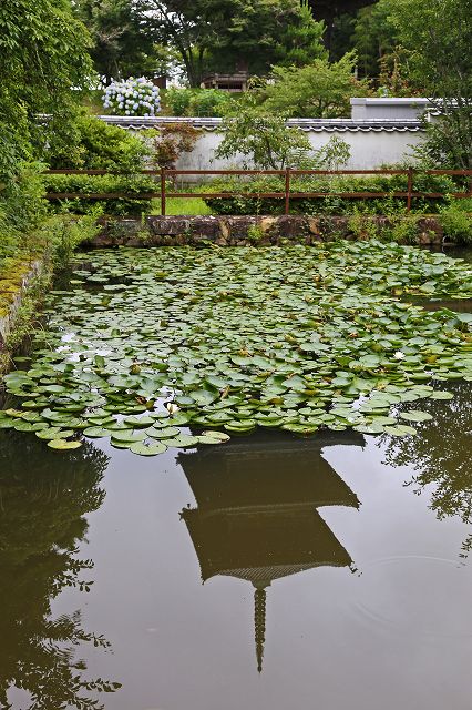 a0242438_1931224.jpg