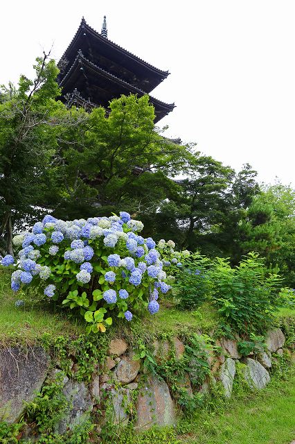 a0242438_19322540.jpg
