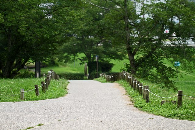 a0242438_19323023.jpg