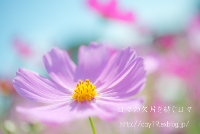 a0323742_20283265.jpg