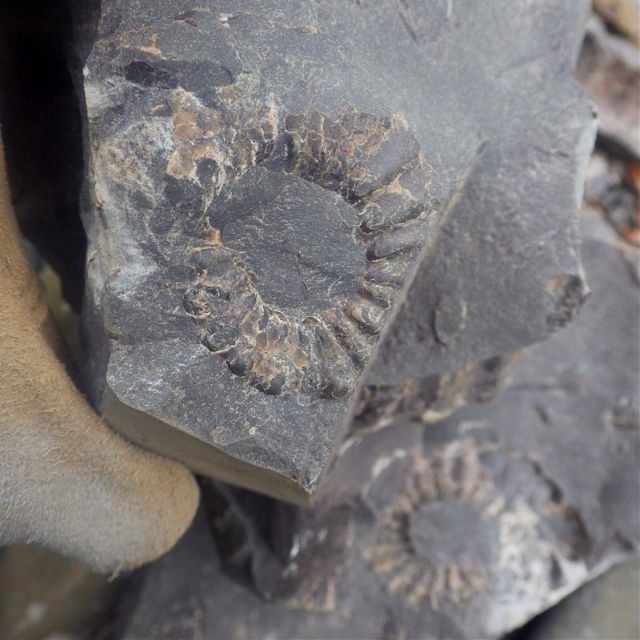 e0290546_00260943.jpg