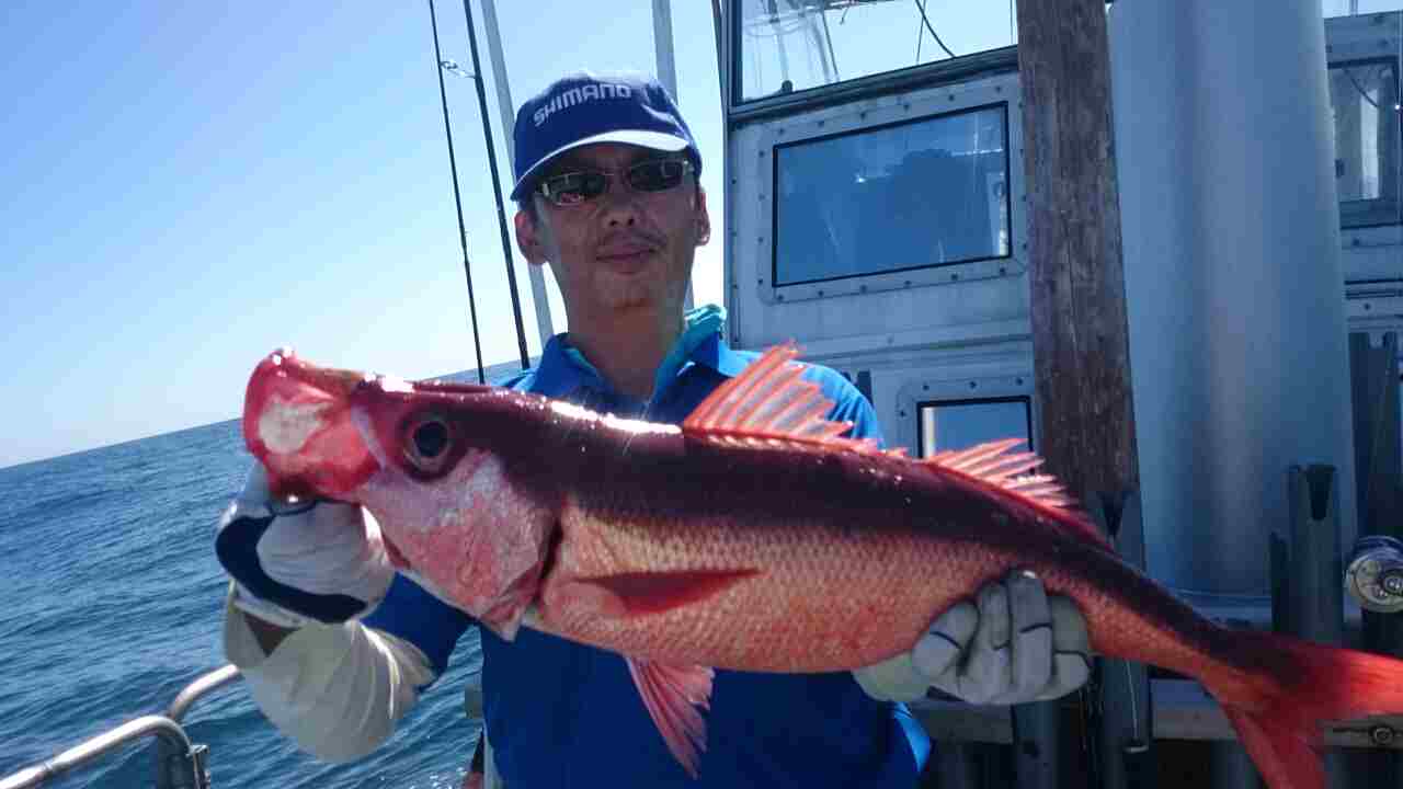 a0248152_17384858.jpg
