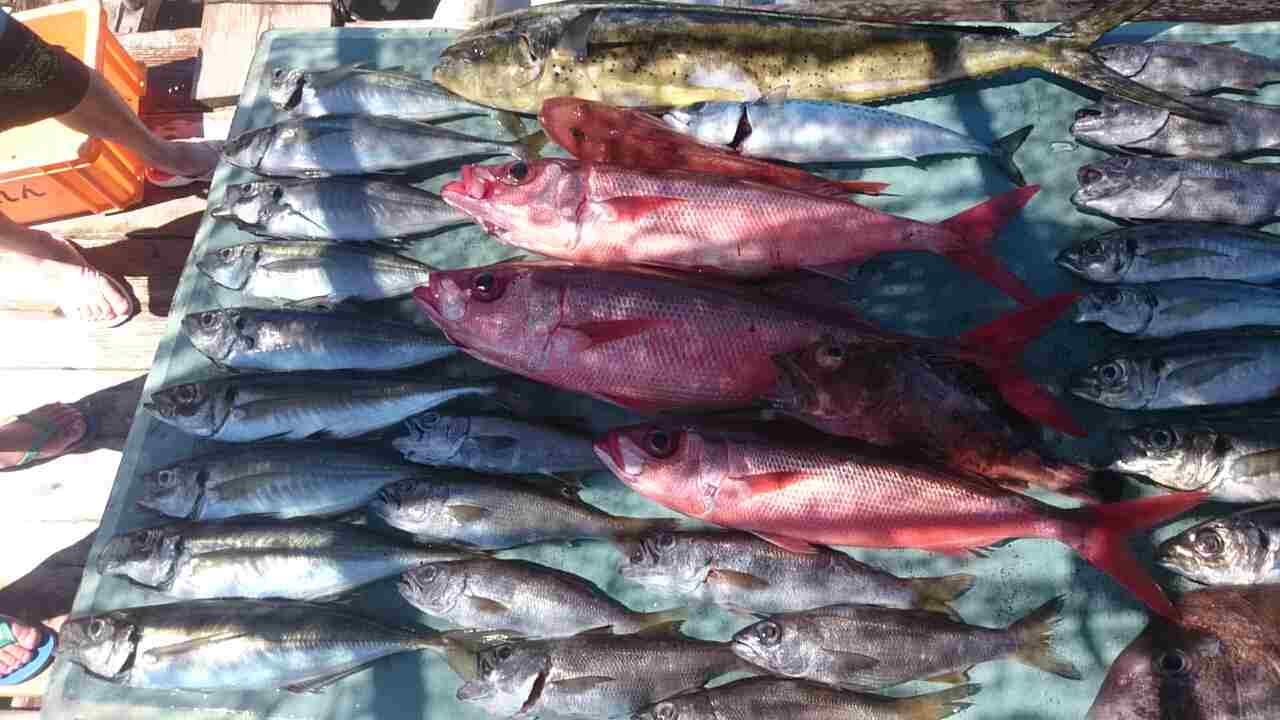 a0248152_1748429.jpg