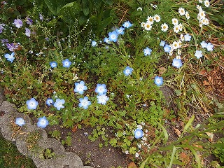 e0004756_2151183.jpg