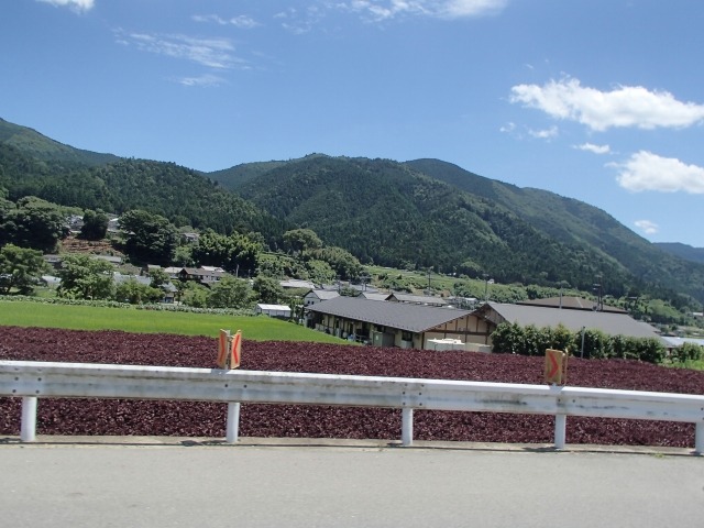 b0044663_1612896.jpg