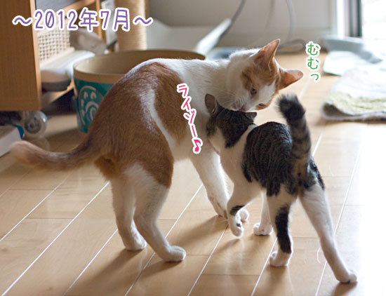 a0119470_23463616.jpg