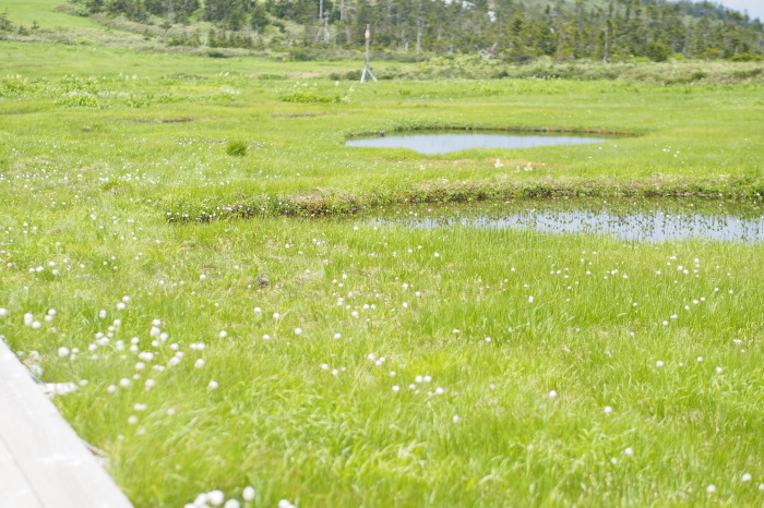 e0307372_18563836.jpg
