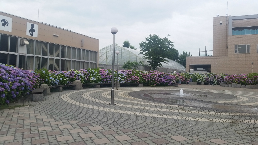 b0003280_23122936.jpg