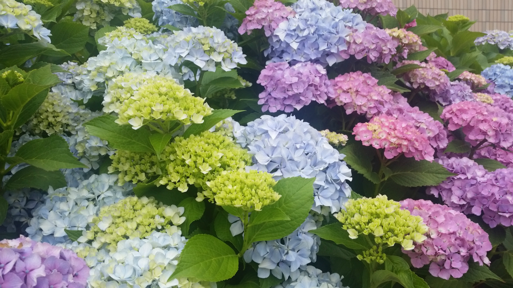 b0003280_23124269.jpg