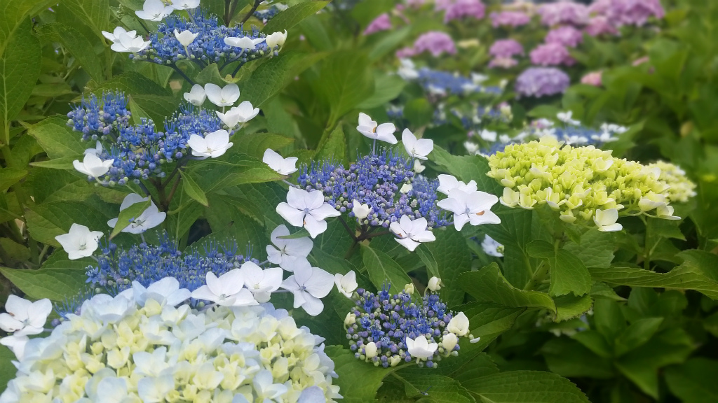 b0003280_23125850.jpg