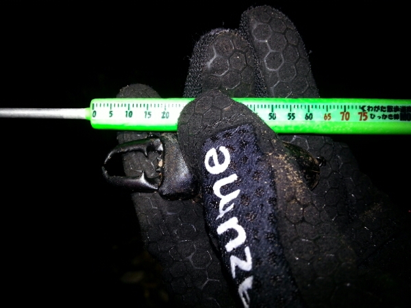 f0183484_16124425.jpg