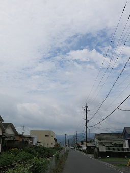 e0130185_111747.jpg