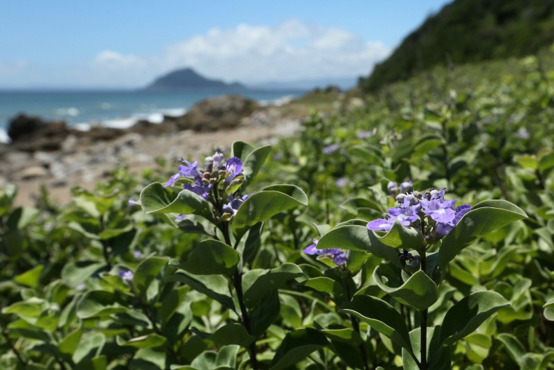 f0000789_21262579.jpg