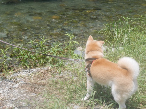 c0123890_21515042.jpg